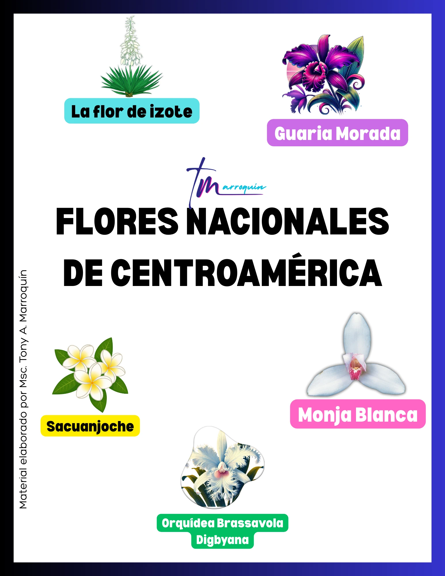 Flores de Centroamérica: izote, monja blanca, orquídea digbyana, sacuanjoche y guaria morada