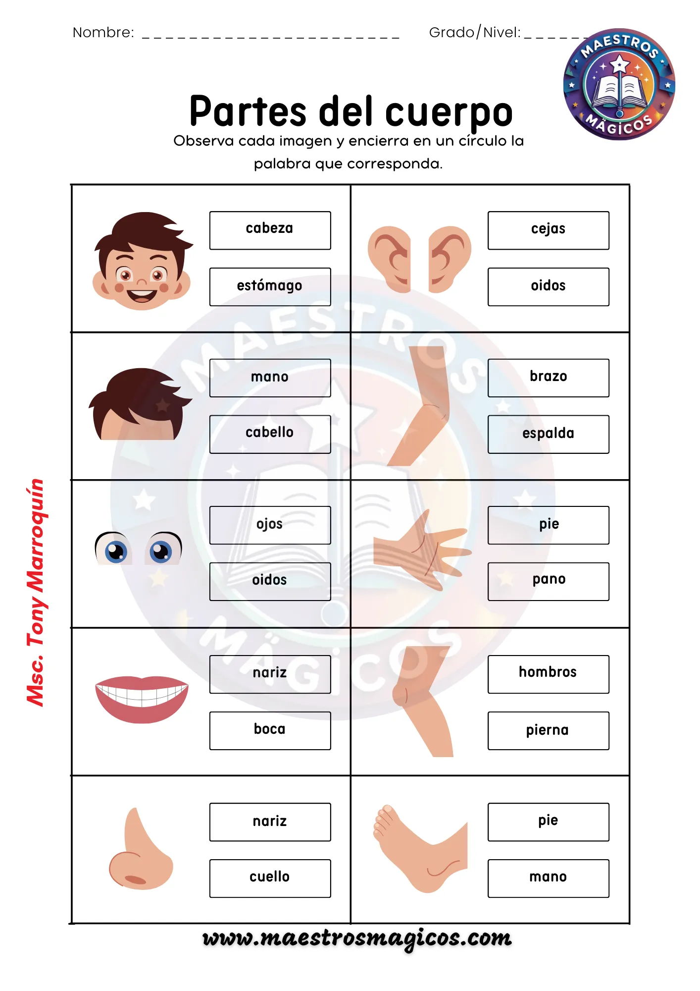 Identificar partes del cuerpo humano