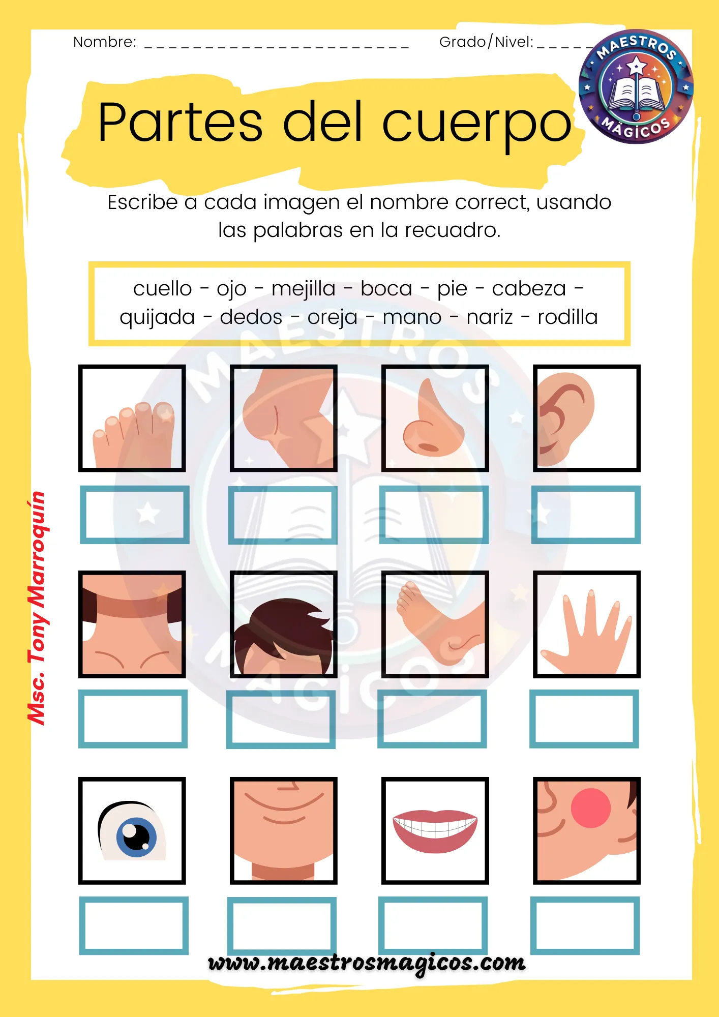 Escribir nombres de partes del cuerpo