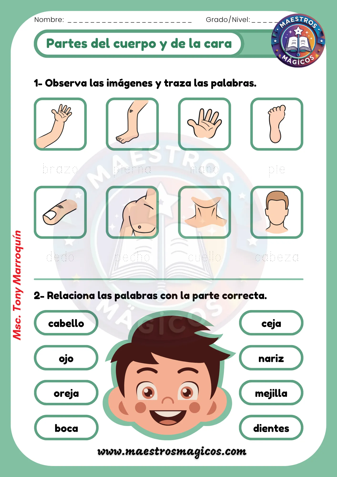 Ficha partes de la cara trazo