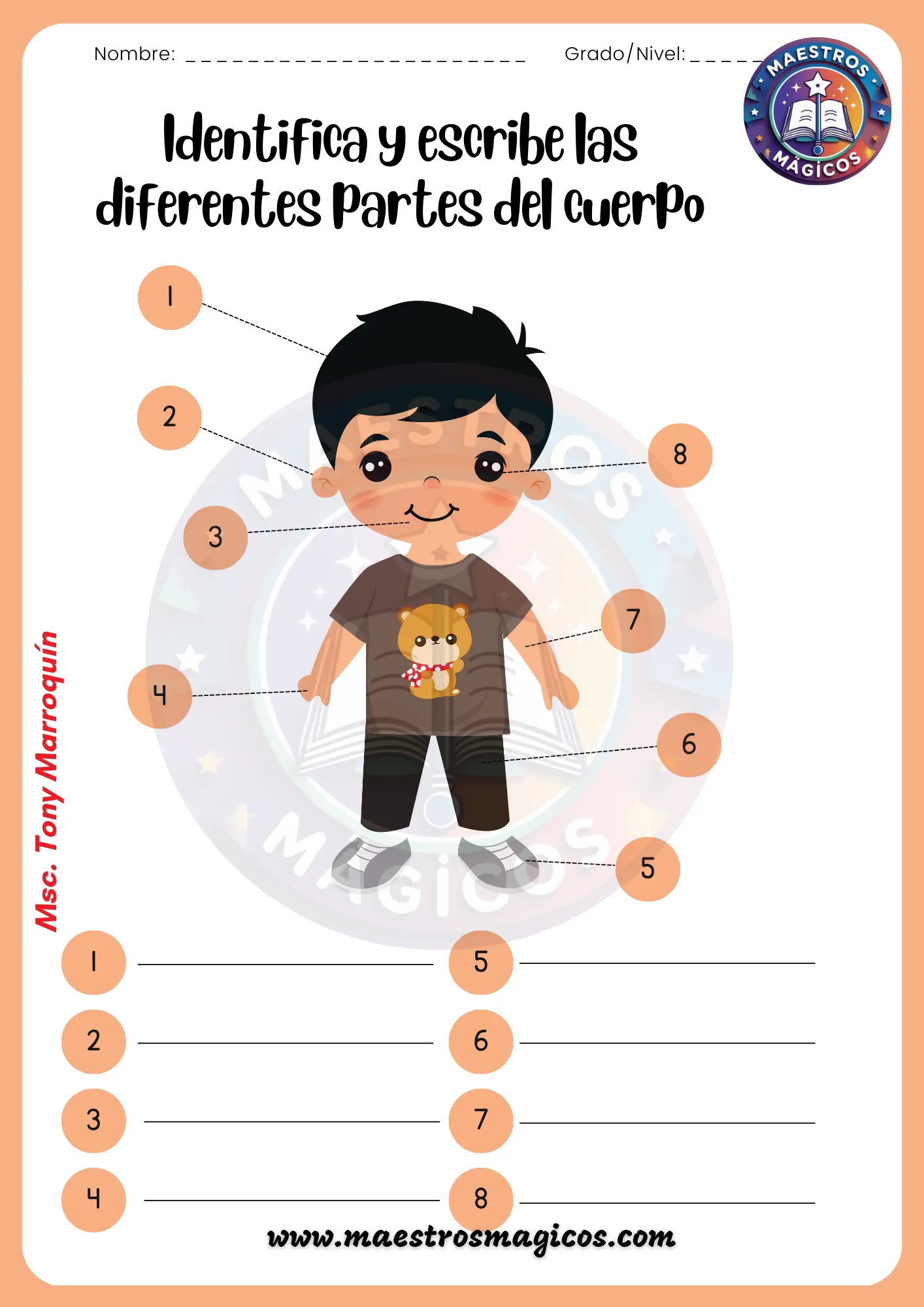 Diagrama cuerpo humano niña