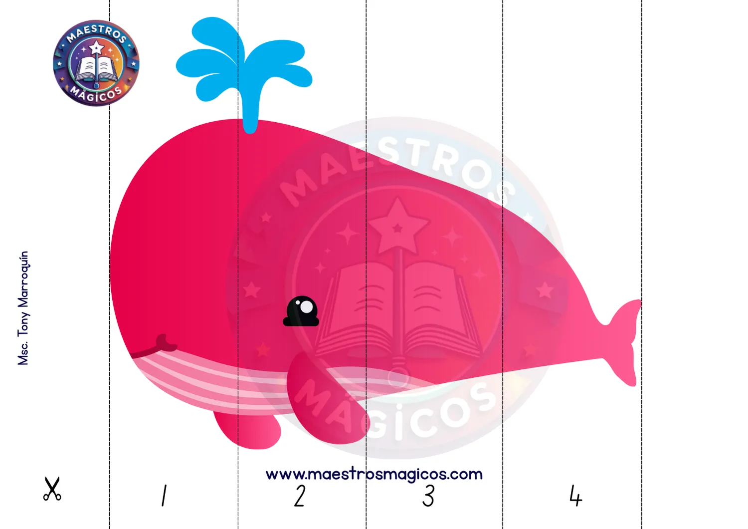 Muestra Nivel 2 Ballena