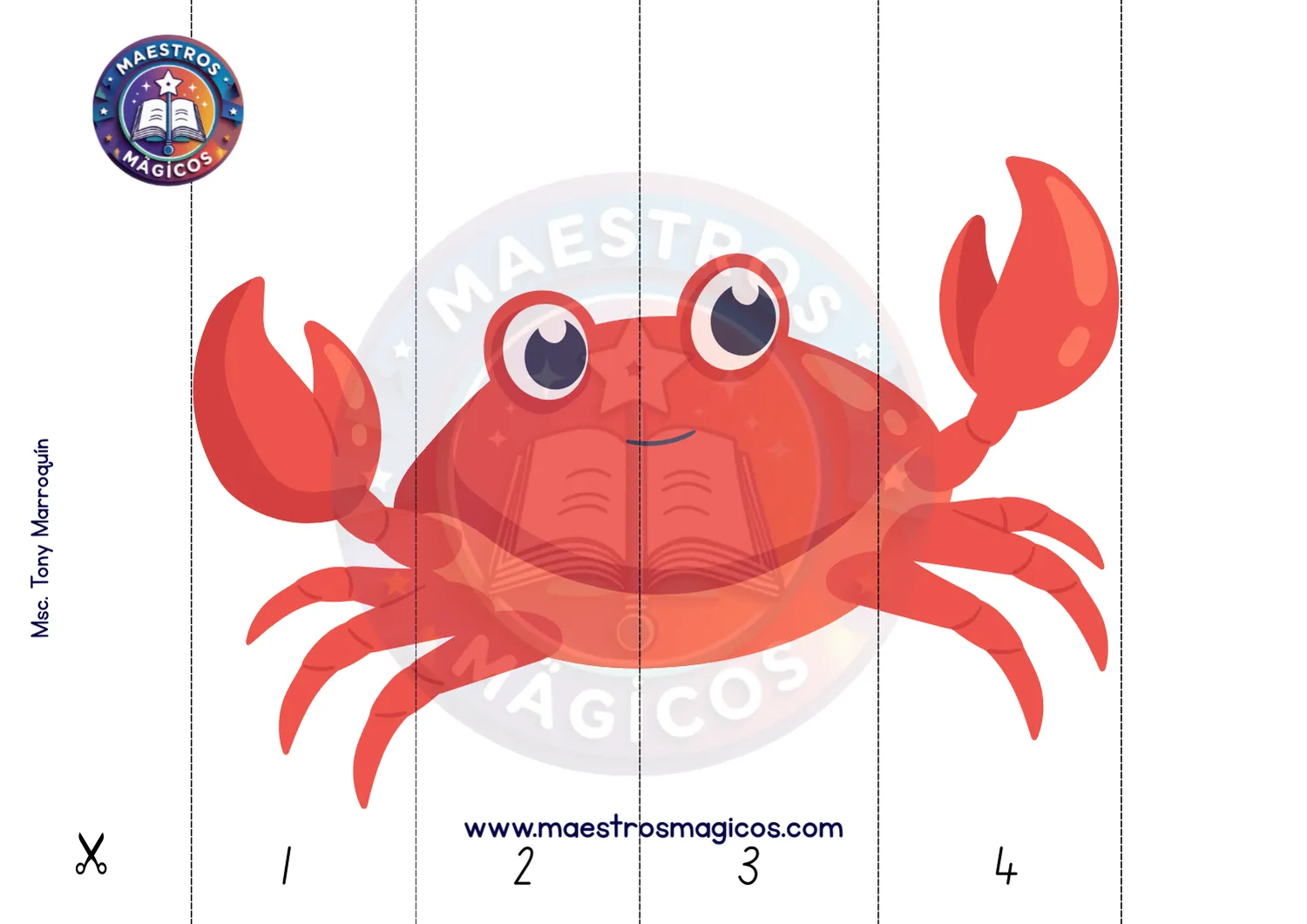 Puzle cangrejo rojo 4 piezas