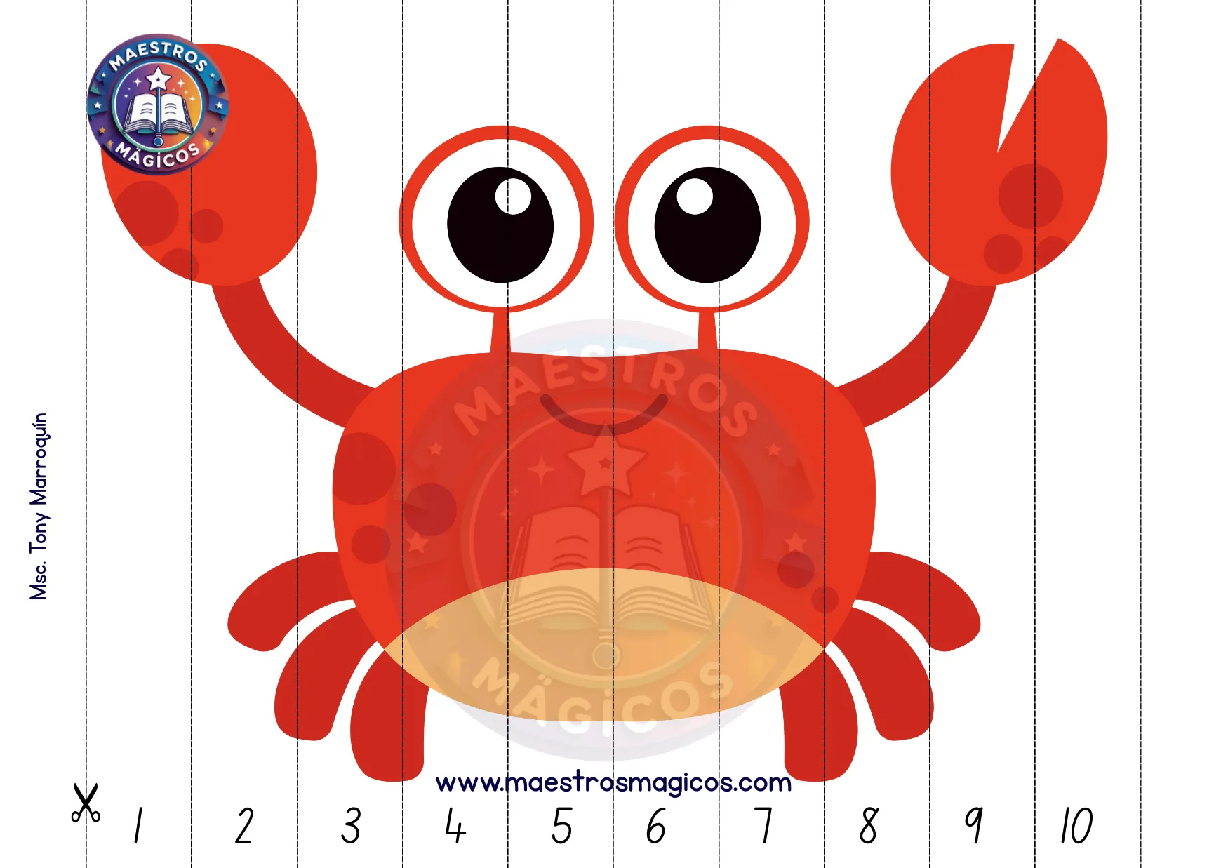 Rompecabezas de secuencia numérica colección completa